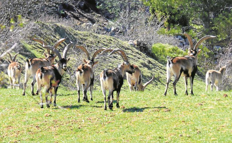 L'Antic Forn De Pauels Βίλα Εξωτερικό φωτογραφία